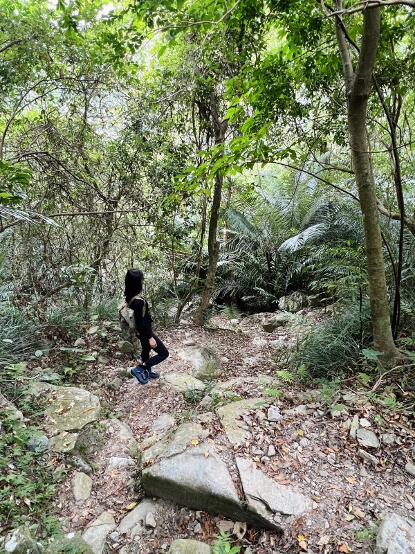 刚买的lowa登山鞋拆箱就拿出去测试，不愧是顶级户外运动鞋品牌